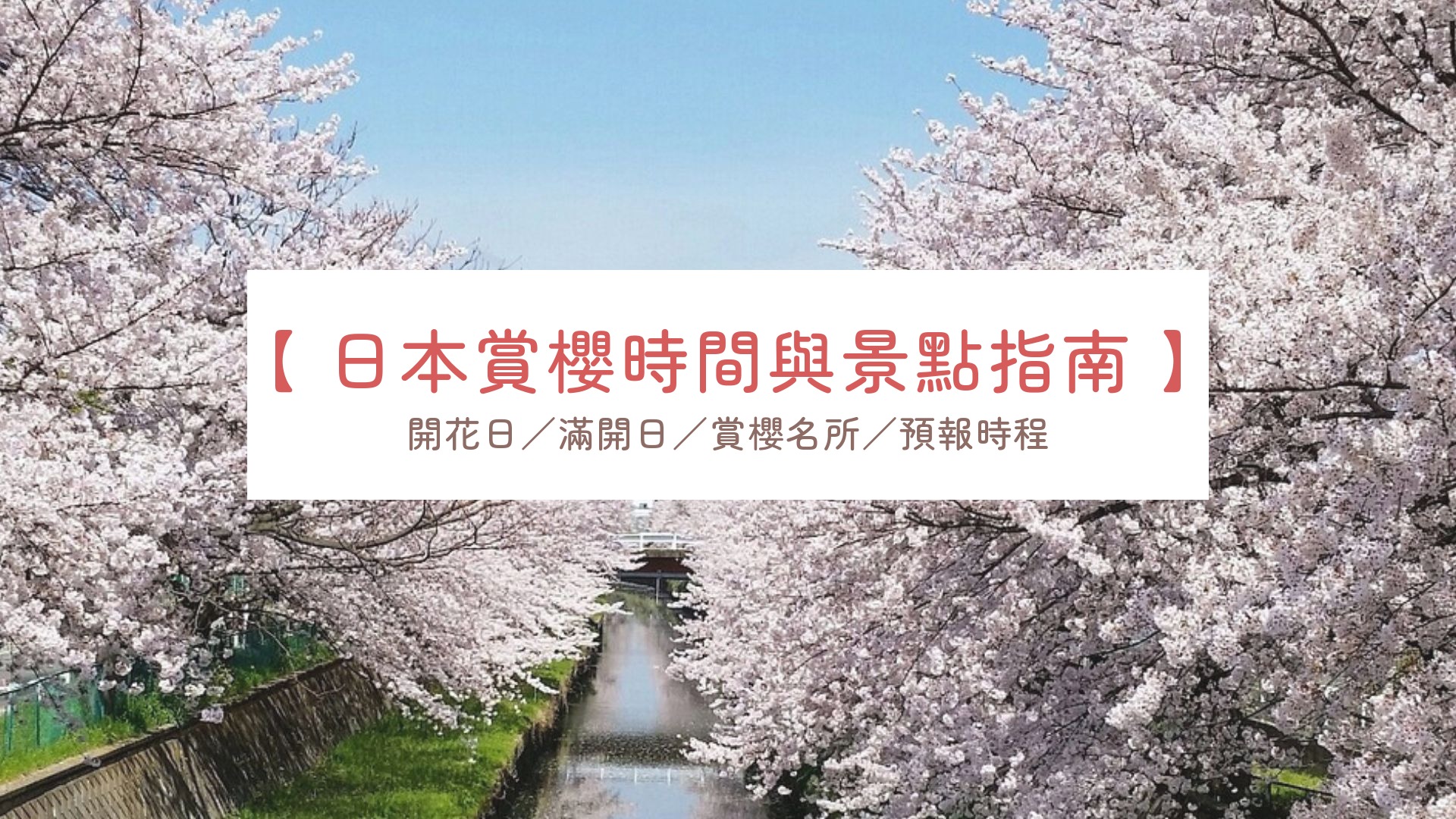 日本賞櫻時間與景點指南：歷年開花日、名所與預報查詢