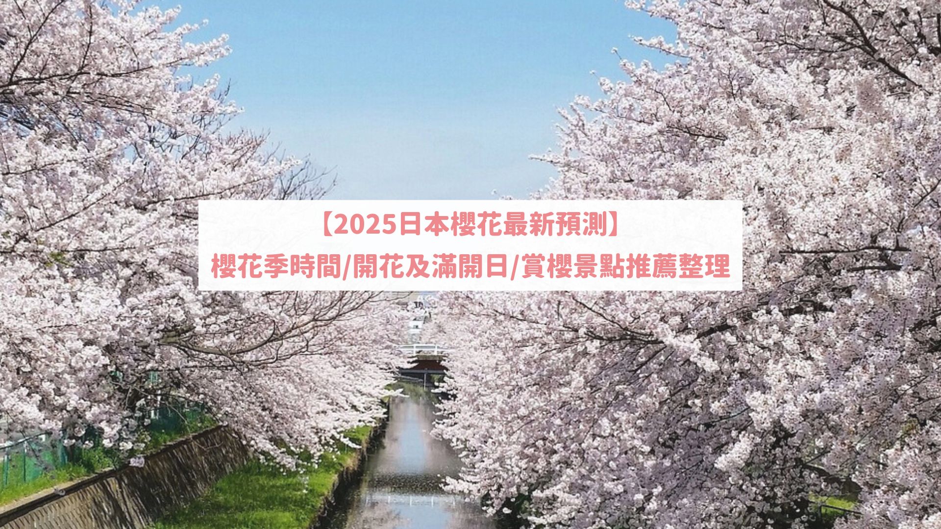 【2025日本櫻花預測】櫻花季時間/開花及滿開日/賞櫻景點推薦整理